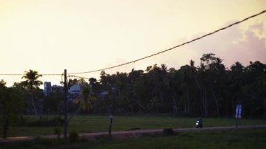 Gün batımında palmiye ağaçlarında motosiklet sürerler. 