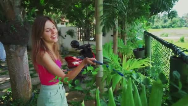 Watering palm trees. Young woman gardener watering the plants and trees in home garden in Asia. — Video