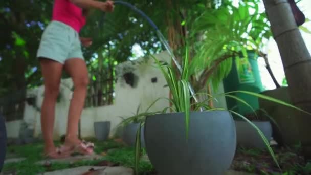 Yetişkin sulama bitkileri bir hortumla — Stok video