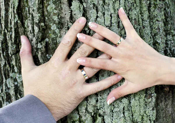 Mãos de casal — Fotografia de Stock