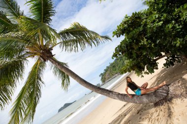 beautiful young girl posing on the beach, palm tree on the beach