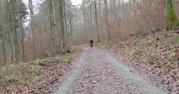 Zwei Personen, ein Mann und eine Frau, mit Fahrrädern in einer bergigen Gegend — Stockvideo