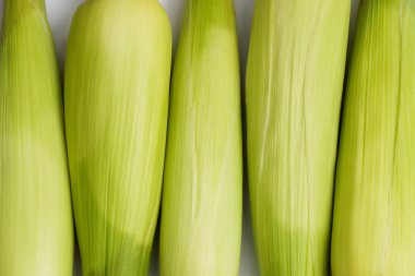 taze mısır koçanı