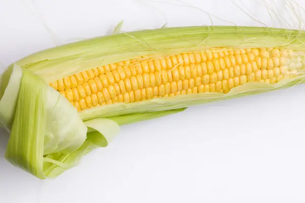 Fresh corn cob — Stock Photo, Image