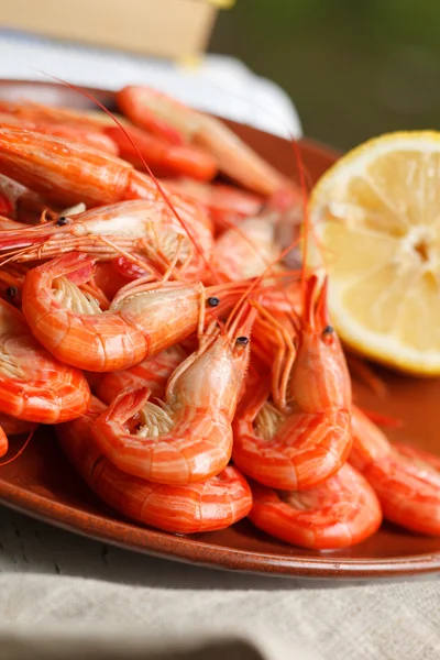 Servir des crevettes grillées — Photo