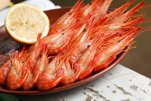 Plate of prawns — Stock Photo, Image