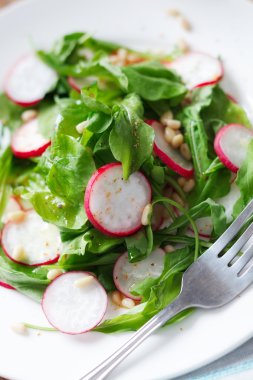 Bahar sebze salatası