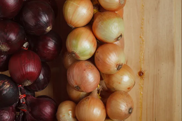 Hanging strings of red and white onions — Stock Photo, Image