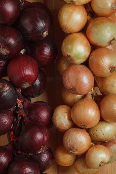 Hanging strings of red and white onions — Stock Photo, Image