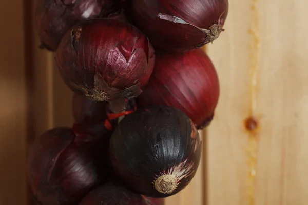 Hanging strings of red onions — Stock Photo, Image