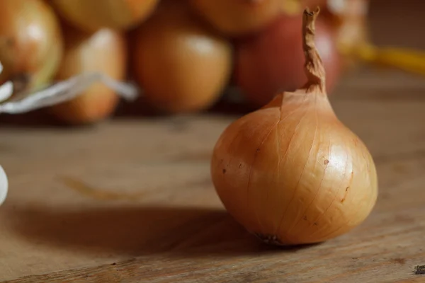 Single onion — Stock Photo, Image