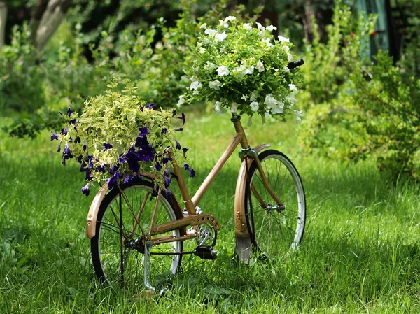 Vintage garden bicycle — Stock Photo, Image