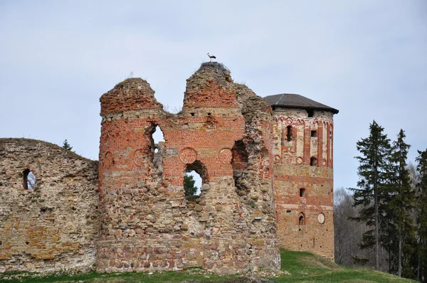 Čáp na troskách starého hradu — Stock fotografie
