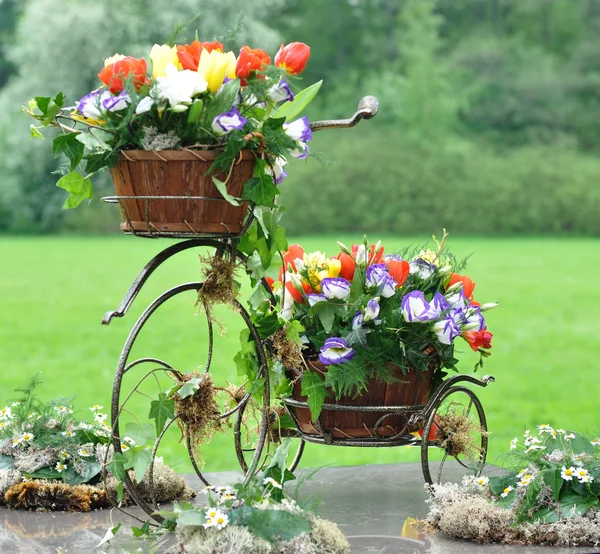 Vintage garden bicycle Stock Image