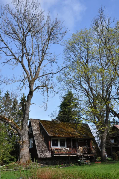 Een landhuis tussen twee bomen — Stockfoto