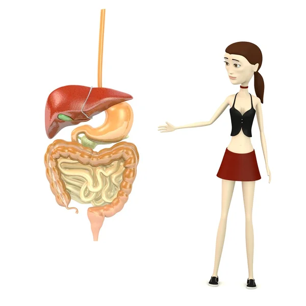 3d render of cartoon character with digestive system — Stock Photo, Image