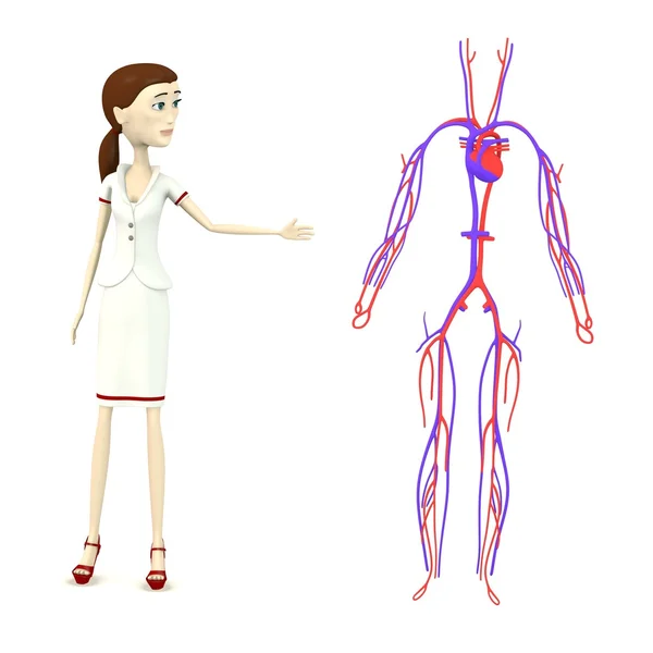 Character with circulatory system — Stock Photo, Image