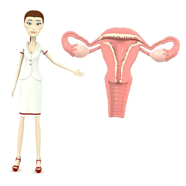 3d render of cartoon character with uterus — Stock Photo, Image