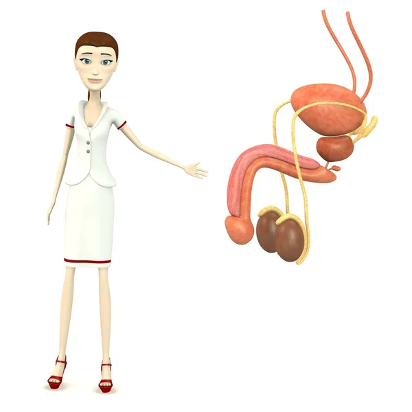 3D визуализация персонажа мультфильма с мужской репродуктивной системой — стоковое фото