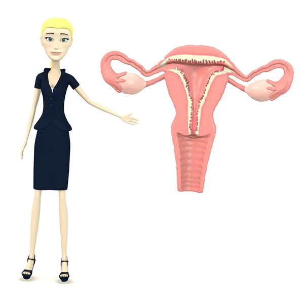 3d render of cartoon character with uterus — Stock Photo, Image