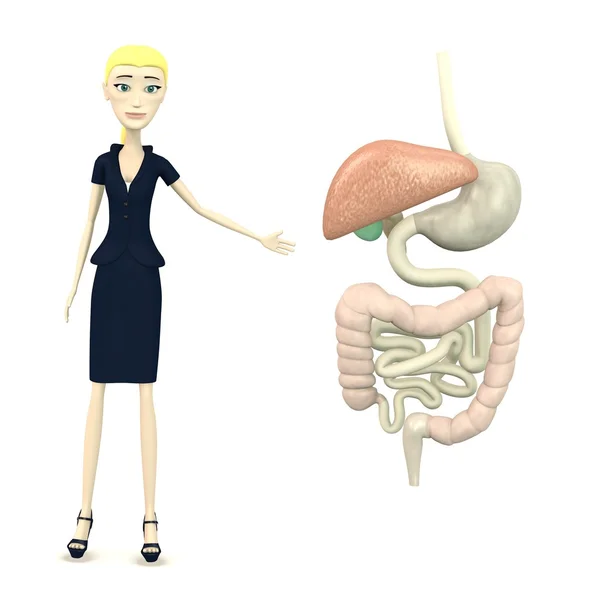 3d render of cartoon character with digestive system — Stock Photo, Image