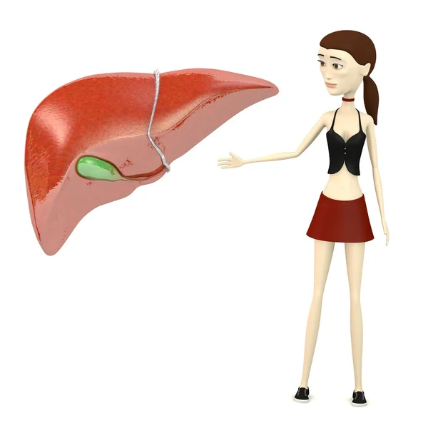 3d render of cartoon character with liver — Stock Photo, Image