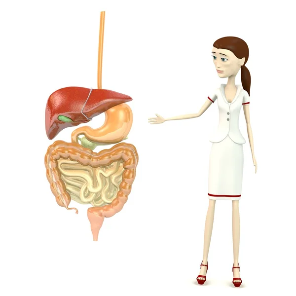 3D визуализация персонажа мультфильма с пищеварительной системой — стоковое фото