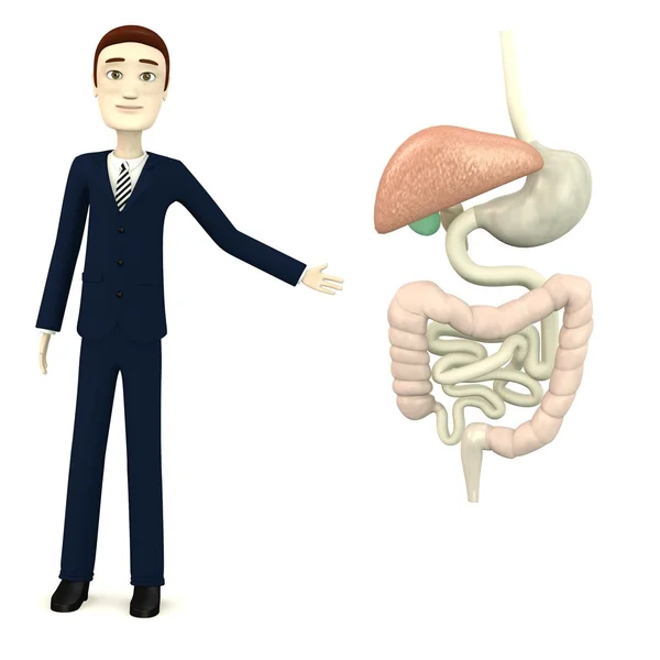 3d render of cartoon character with digestive system — Stock Photo, Image