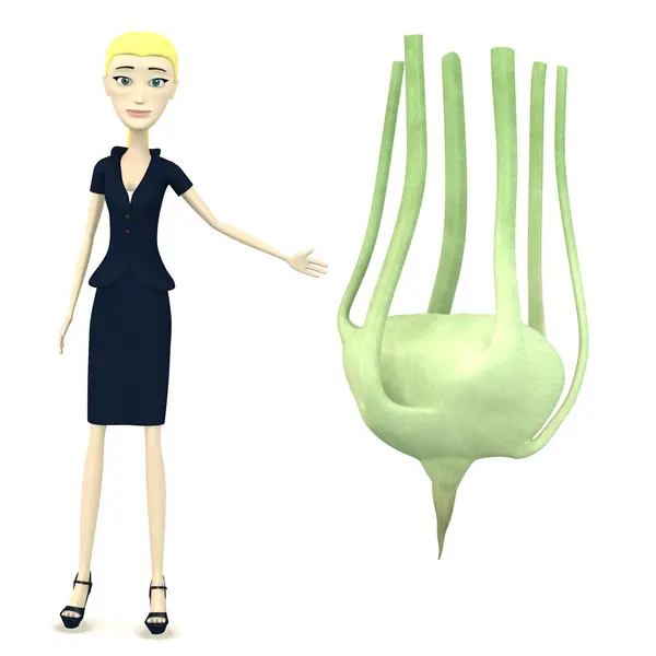 Rendering 3D del personaggio dei cartoni animati con kohlrabi — Foto Stock