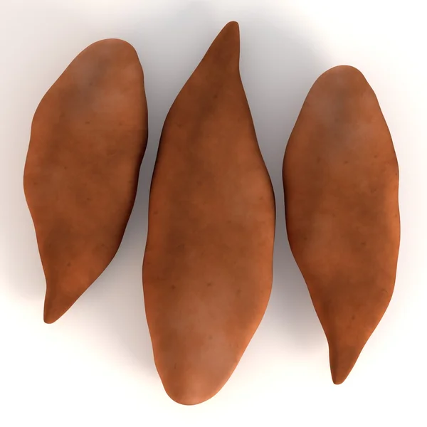 3d render of sweet potato — Stock Photo, Image