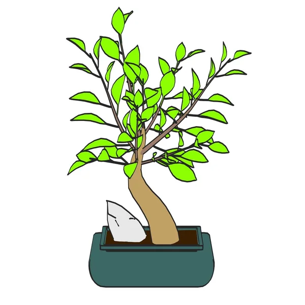 Cartoon image of bonsai tree — Stock Photo, Image