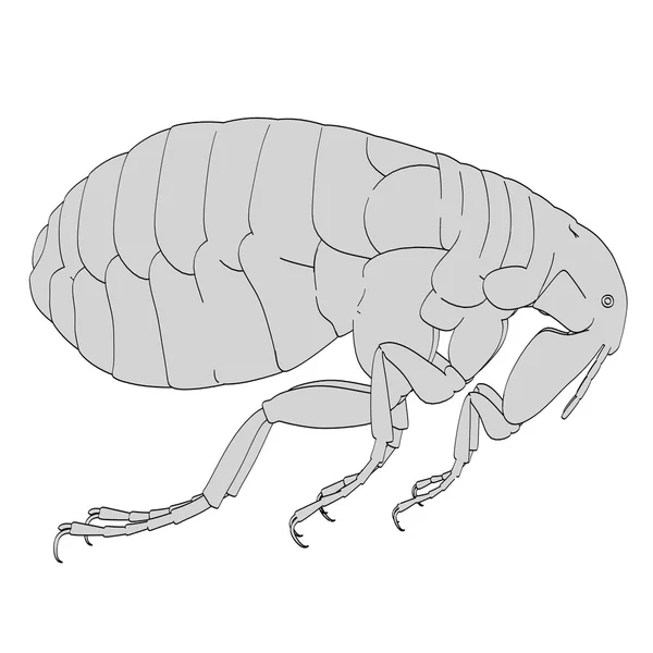 Imagen de dibujos animados del insecto pulga — Foto de Stock