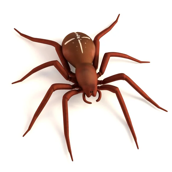 Realistic 3d render of araneus — Stock Photo, Image