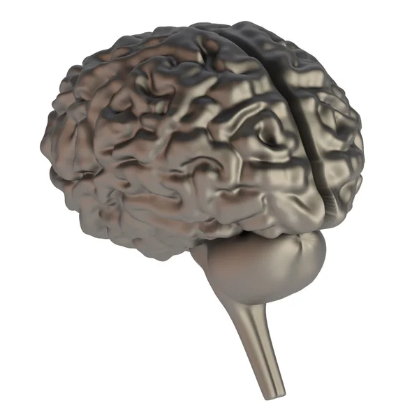 Realistyczne renderowanie 3d mózgu — Zdjęcie stockowe