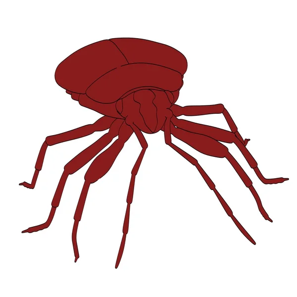 Cartoon afbeelding voor firebug — Stockfoto