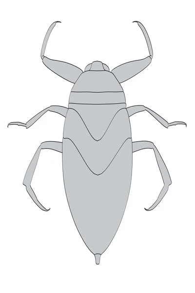 Image de dessin animé d'un insecte géant de l'eau — Photo
