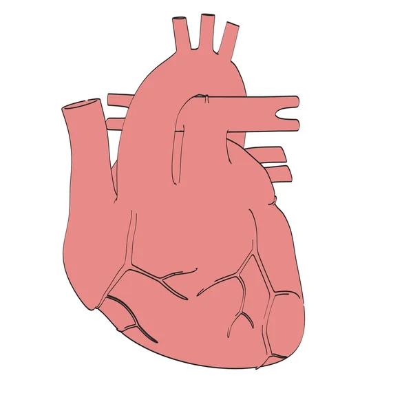 Мультяшний образ людського серця — стокове фото