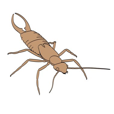 kulağakaçan çizgi film resim