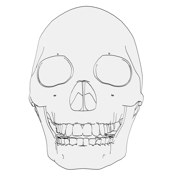 Карикатурное изображение женского черепа — стоковое фото