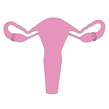 insan rahim çizgi film resim