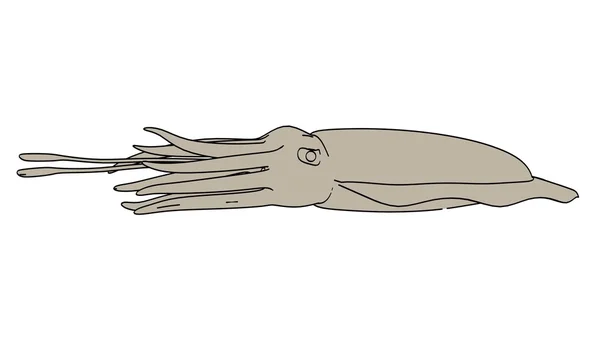 Imagem dos desenhos animados de peixes cuttle — Fotografia de Stock