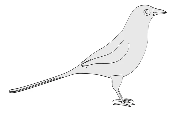 Cartoon-Bild von Elster Vogel — Stockfoto