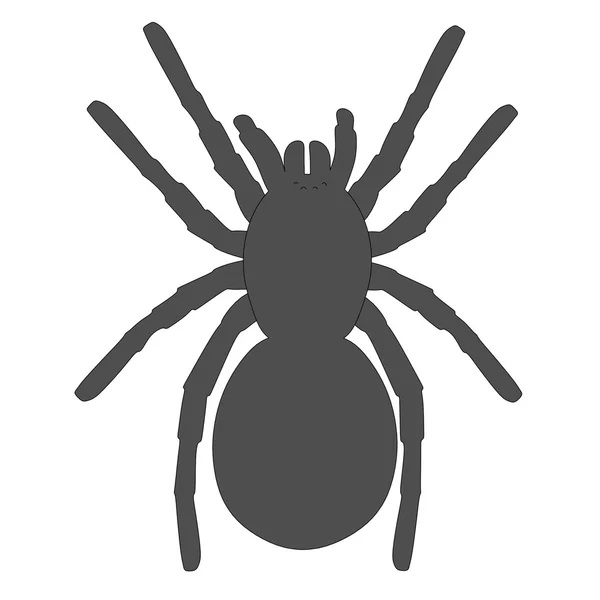 Imagen de dibujos animados de tarántula spider — Foto de Stock