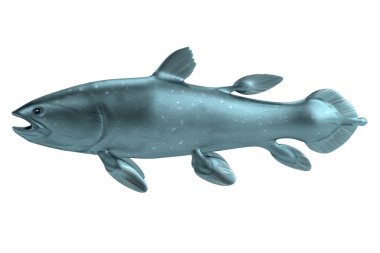 latimeria gerçekçi 3d render