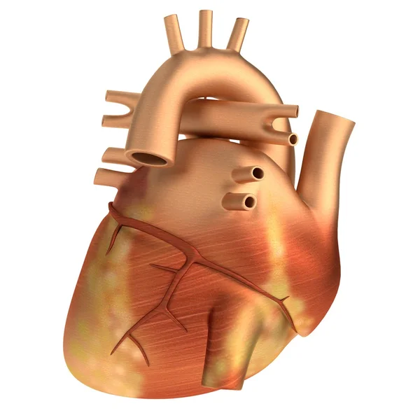 Rendering realistico 3d del cuore umano — Foto Stock