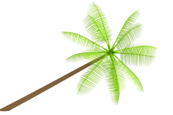 Realistische 3d render van palm — Stockfoto