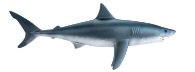 köpekbalığı gerçekçi 3d render