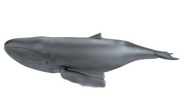 gerçekçi 3d render Whale