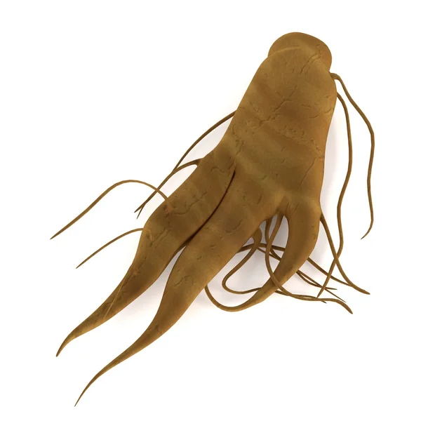 Realistic 3d render of ginseng root — Stock Photo, Image