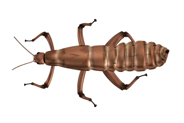 Реалистичный 3D рендеринг спектрального насекомого — стоковое фото